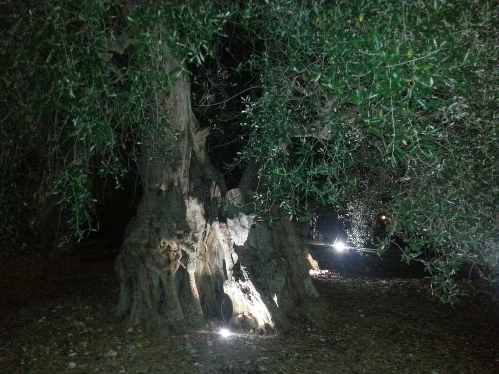 ペスキチ La Piana Di Calenaヴィラ エクステリア 写真